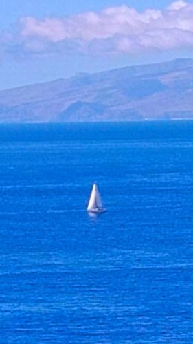 Adeje300, Playa Paraíso