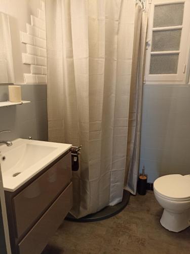 La salle de bains est pourvue de toilettes, d'un lavabo et d'une douche. dans l'établissement Suite avec billard et jacuzzi, à Bergerac