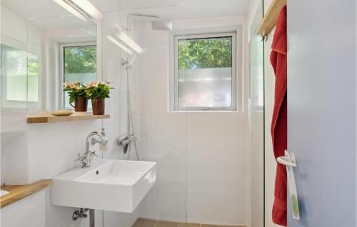a white bathroom with a sink and a window at Nice Home In Vejby With Kitchen in Vejby