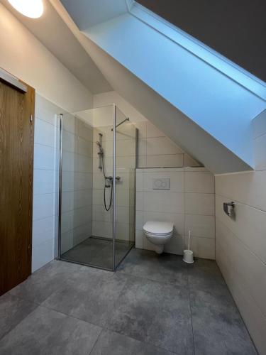 W łazience znajduje się przeszklony prysznic i toaleta. w obiekcie Ferienhaus am Hof Zotter w mieście Riegersburg