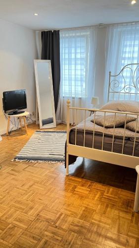 特里爾的住宿－Gemütliche Wohnung in Trier Fußgängerzone，一间卧室配有一张床和一台平面电视