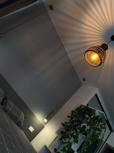a room with a potted plant and a light at Apartments Black Sea in Odesa