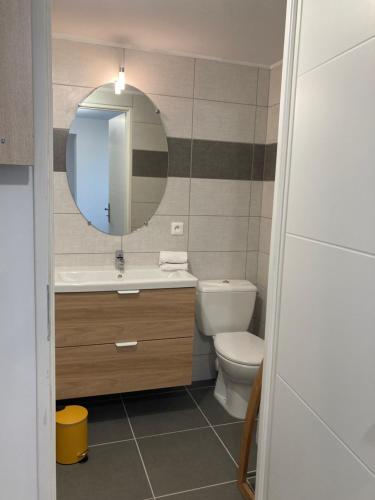 a bathroom with a sink and a mirror and a toilet at Pavillon de l’Étang in Châteauneuf-du-Rhône