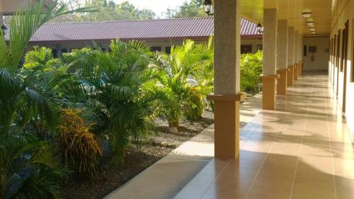 a corridor of a building with trees and plants at Hotel D'Lucia - Quebrada Ganado, Jaco, Costa Rica in Puntarenas