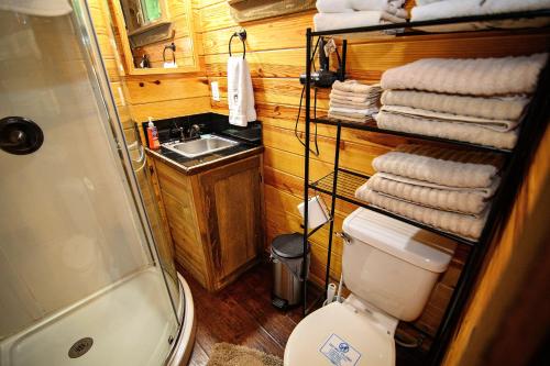 a bathroom with a toilet and a sink and towels at The Codex - Parker Creek Bend Cabins in Murfreesboro