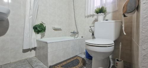 ロス・ジャノス・デ・アリダネにあるApartamento Mayato 1のバスルーム(トイレ、洗面台、バスタブ付)