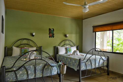 two beds in a room with green walls at Hotel D'Lucia - Quebrada Ganado, Jaco, Costa Rica in Puntarenas