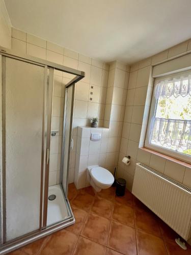 a bathroom with a shower and a toilet and a window at Ferienhaus Brockenpfad in Schierke