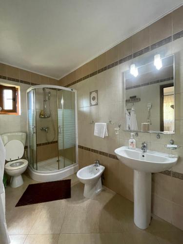 a bathroom with a sink and a shower and a toilet at Pensiunea Casa Vero in Vama
