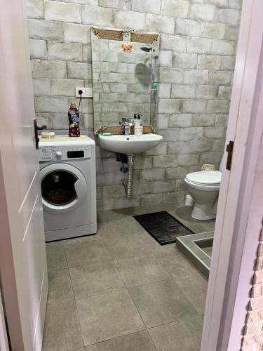 a bathroom with a washing machine and a sink at Guest House PIROSMANI in Tsqnetʼi
