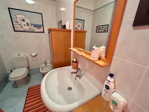 a bathroom with a sink and a toilet and a mirror at B&B La Casa del Barbiere in Modena
