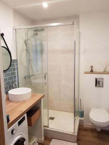 une salle de bain avec une douche, un lavabo et des toilettes dans l'établissement Au gré du vent, à Wimereux