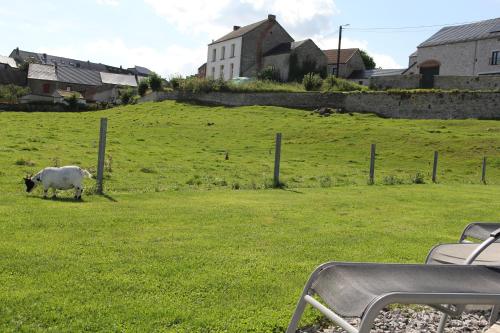 a sheep standing in a field of green grass at Le grenier de la Floye in Biesmerée