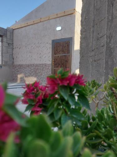 una planta con flores rosas delante de una puerta en Green Garden Rooftop, en Madaba