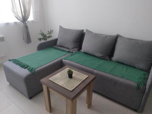 - un salon avec un canapé et une table dans l'établissement Green Apartman, à Paraćin