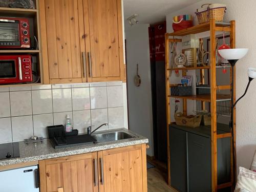 Studio avec Cabine aux Pieds des Pistes, Animaux Admis - FR-1-574-27