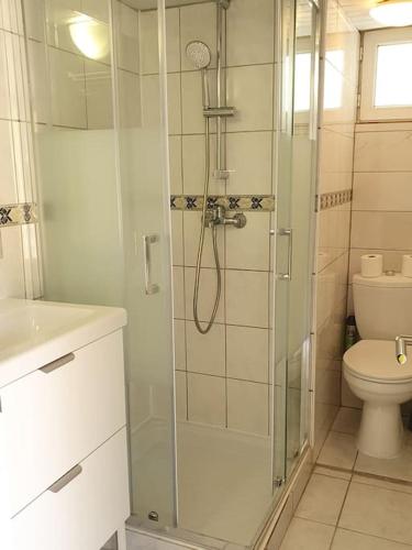 une salle de bain avec douche et toilettes dans l'établissement logement Amboise centre avec terrasse privée, à Amboise