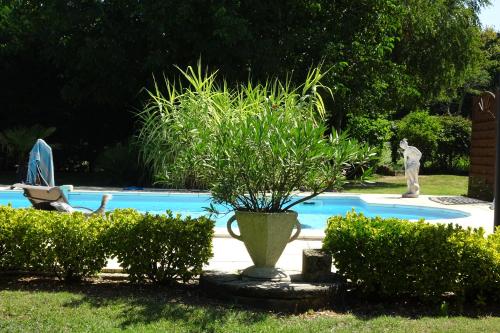 Πισίνα στο ή κοντά στο Suite privée dans spacieuse maison du Périgord, avec piscine