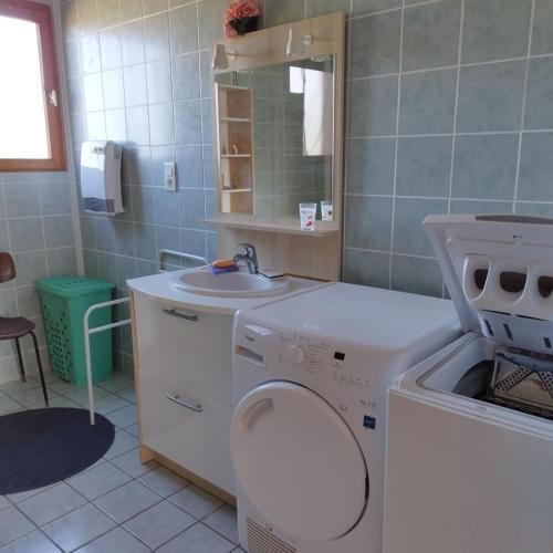 une salle de bain avec une machine à laver et un lavabo dans l'établissement Chalet Les Adrets du Sancy, à Saint-Diéry