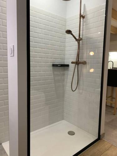 a shower with a glass door in a bathroom at Cocon Classé 3 Etoiles - Love et Détente - SPA in Carpentras