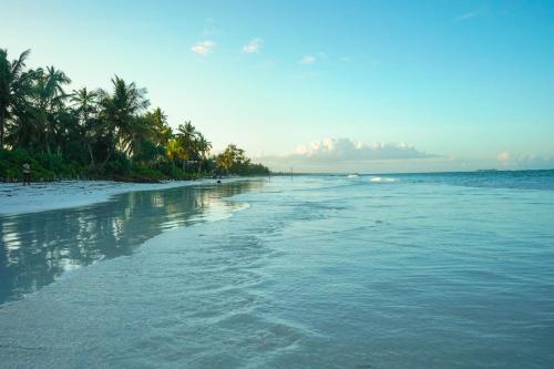 uma praia com palmeiras e o oceano em Zanzibar House Boutique Hotel em Matemwe