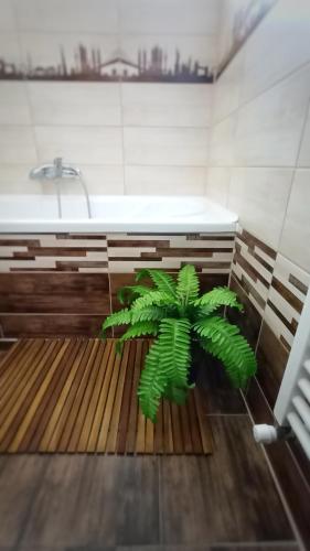 a bathroom with a tub and a green plant at Mountain View Sibiu in Şelimbăr