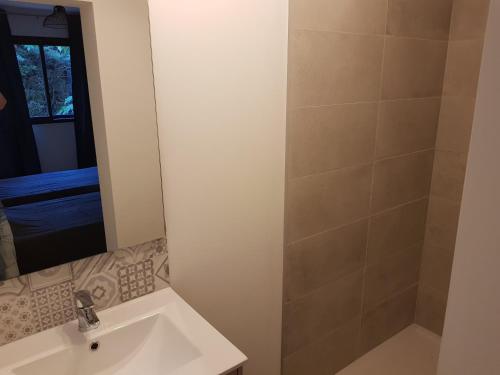 W łazience znajduje się umywalka i prysznic. w obiekcie Maison avec piscine w mieście Vaison-la-Romaine