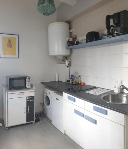 uma cozinha com um lavatório e uma máquina de lavar roupa em Vue Imprenable-Studio-Montauban em Montauban