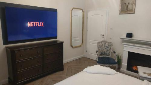 uma sala de estar com uma televisão, uma cadeira e uma lareira em Luxury Airport Retreat em Cluj-Napoca