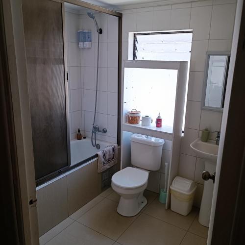 a bathroom with a toilet and a shower and a sink at Casa dos dormitorios in Iquique