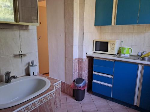 uma casa de banho com um lavatório e um micro-ondas no balcão em Apartmán na Jižní em Olomouc