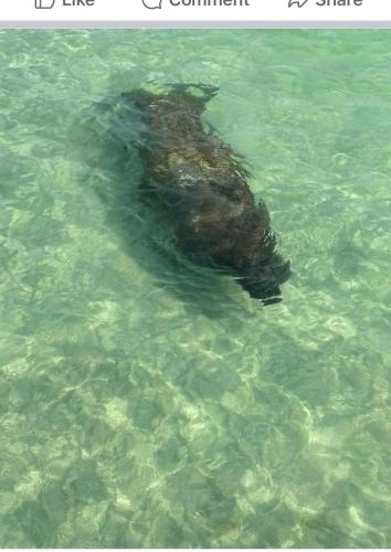 Φυσικό τοπίο κοντά σε αυτή η παραθεριστική κατοικία