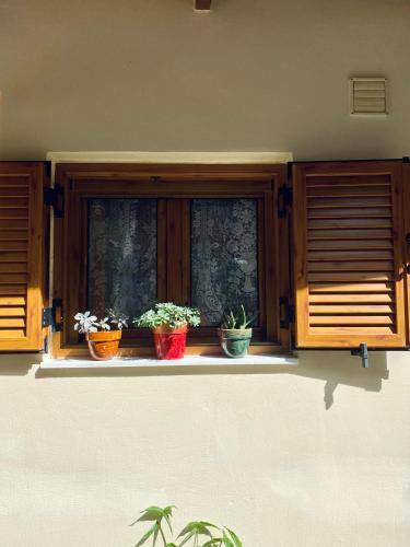 una finestra con piante in vaso seduta sul davanzale di una finestra di Pavlianis Cottage House a Pavliani