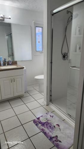 a bathroom with a shower and a sink and a toilet at Butterfly Ranch in St Petersburg