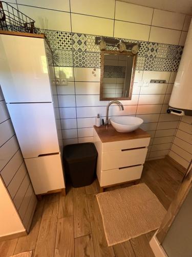 a bathroom with a sink and a mirror at Chalupa U Franze in Malá Morava