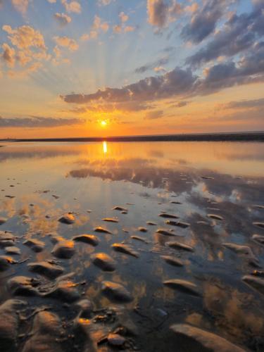 a sunset on a lake with rocks in the water at vakantiewoning 266 in De Panne