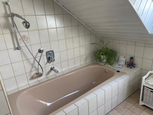 y baño con bañera con ducha y planta. en Ferienwohnung-Entspannung Pur, en Krombach