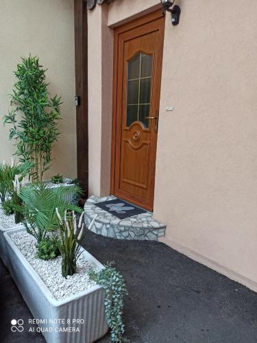 a door of a house with plants in front of it at Le bien vivre in Wittenheim