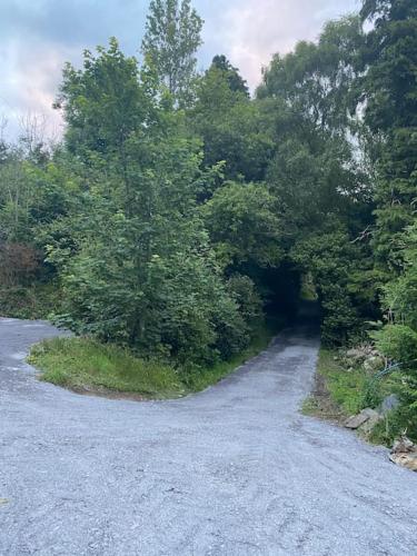 a gravel road with trees on the side of it at Adorable Victorian 1 bedroom annexe in Beaumaris