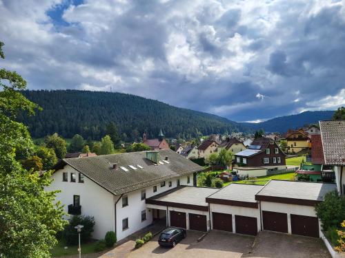 a view of a town with a mountain in the background at Schwarzwaldsuite mit Panorama Waldblick in Enzklösterle