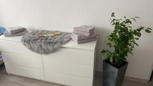 Una cómoda blanca con toallas y una planta. en Apartmán v Třebíči, en Třebíč