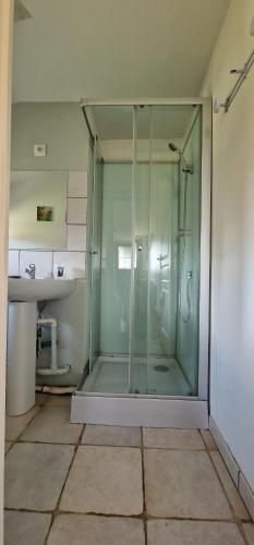 a glass shower in a bathroom with a sink at AU Bosquet fleuri in Cosges