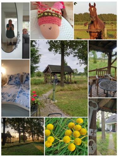 a collage of photos with a woman taking a picture of lemons at B&B Het mooie uitzicht in Reuver