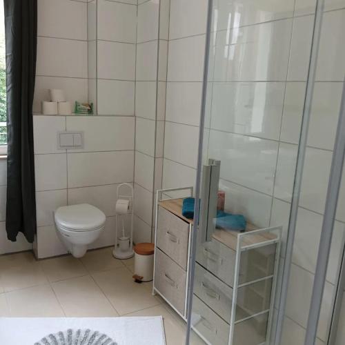 a white bathroom with a toilet and a sink at Stellas Monteurswohnungen in Crimmitschau