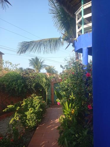 a pathway leading to a house with flowers and plants at Charming blue house with kitchen parking and garden in Canoa Quebrada