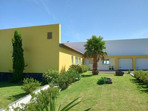una casa amarilla con una palmera en un patio en Four Winds House, en Altares