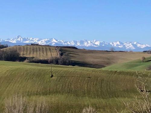 un champ d'herbe avec des montagnes en arrière-plan dans l'établissement Ferme Ariégeoise, Gîte des Pyrénées, à Unzent