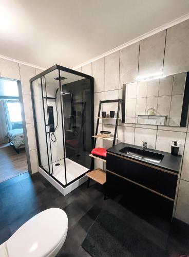 a bathroom with a shower and a sink and a toilet at Le petit Broux in Aywaille