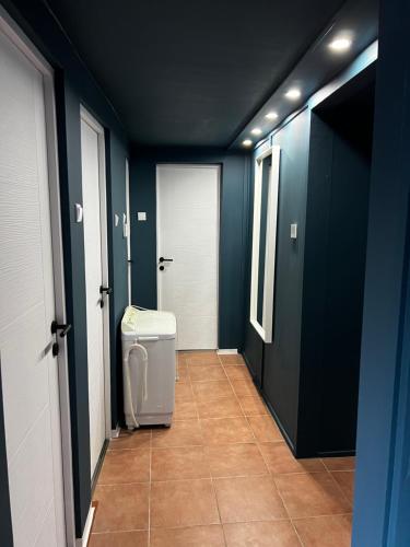 a hallway with a toilet in a room with blue walls at TM House Sástó in Mátrafüred