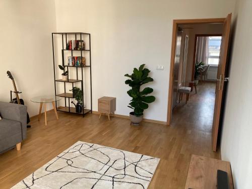 a living room with a couch and a potted plant at Przestronny apartament na Dolnej in Warsaw